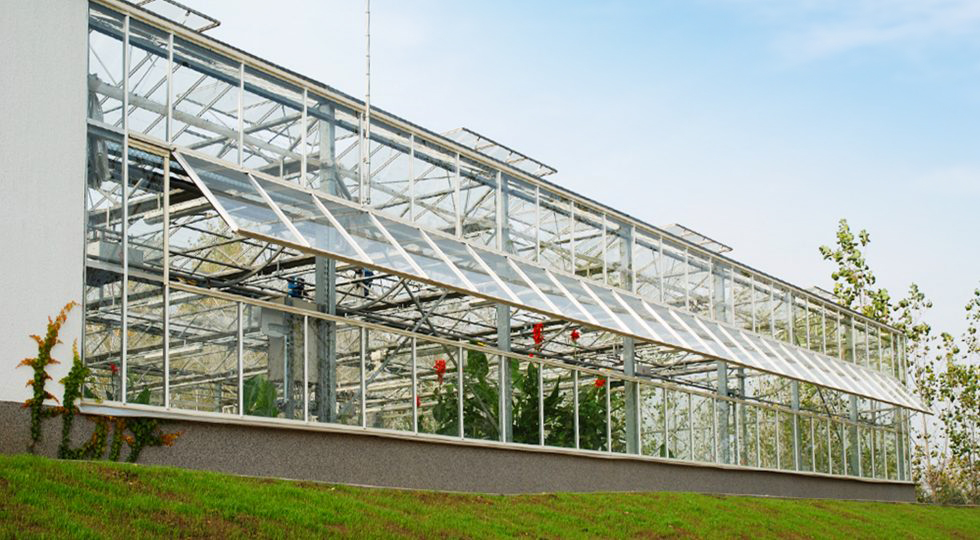 Organica water’s greenhouse at the Gallicoop factory in Szarvas, Hungary